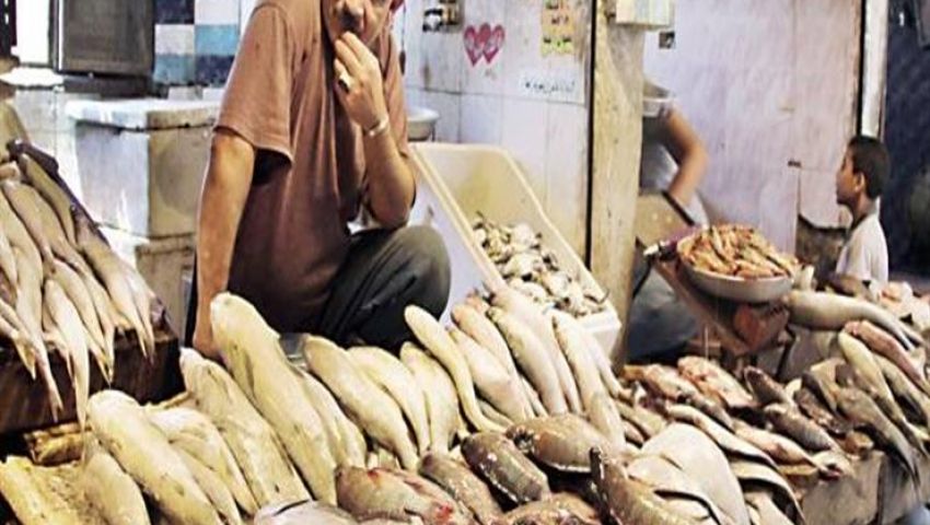 شم النسيم 2019| تجار: الرنجة بـ65 جنيهًا والفسيخ بـ190 جنيهًا والإقبال متوسط