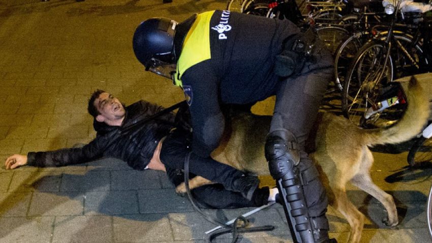 أنقرة تستقدم مواطنا تركيا عضّه كلب للشرطة الهولندية