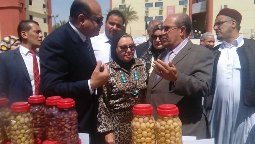 فيديو.. محافظ مطروح: السيسي غير مسؤول عن أوضاع المحافظة السيئة