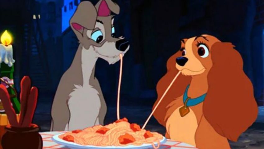 بالفيديو| بعد 64 عامًا.. «Lady and Tramp» يعود بمشاهد حية