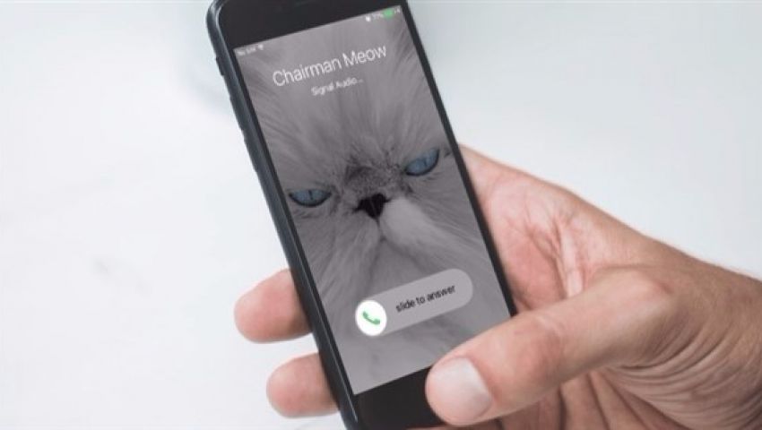 رسميا.. تطبيق Signal يطلق ميزة مكالمات الفيديو المشفرة لجميع المستخدمين