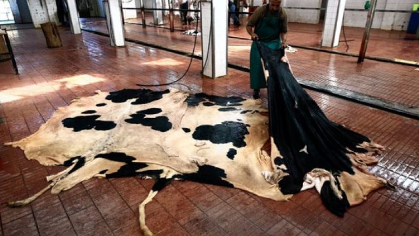 قرار حكومي باستمرار فرض رسم الصادر على الجلود لمدة عام
