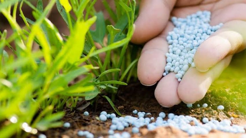 ارتفاع أسعار الأسمدة.. أزمة جديدة بين البرلمان ووزير الزراعة