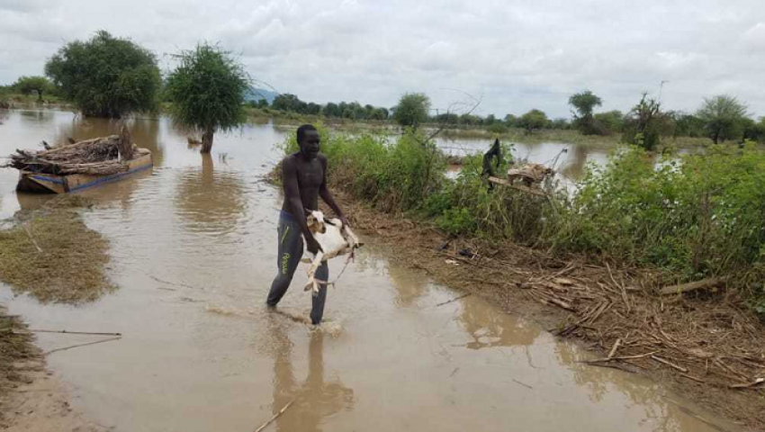 فيديو| سيول السودان.. مواطنون يشكون شح الغذاء والأدوية