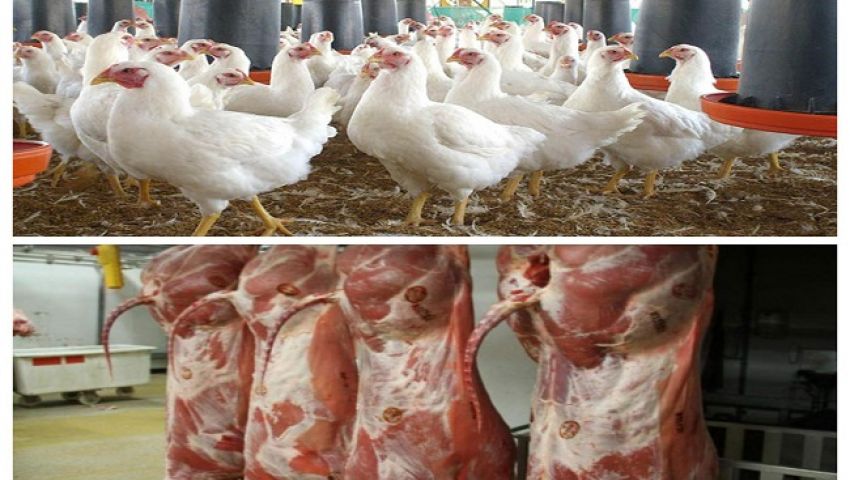 في 15 نصيحة.. علاج مشاكل «اللحوم والدواجن» في مصر