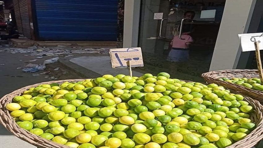 بـ «الأضاليا».. هكذا تغلب مؤلف «فلاش» على غلاء الليمون في مصر