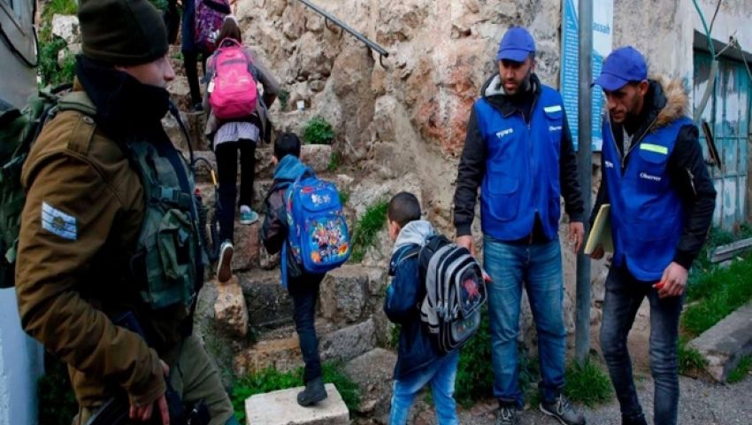 بالصور| «شبان ضد الاستيطان».. عين على الاحتلال الإسرائيلي لحماية أطفال الخليل