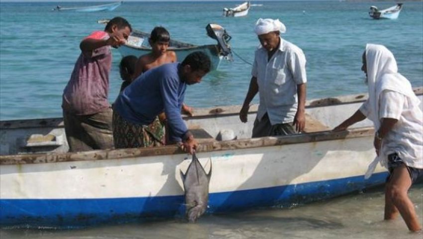 احتفالًا بأعياد سيناء.. فتح بحيرة البردويل وإطلاق موسم صيد 2019