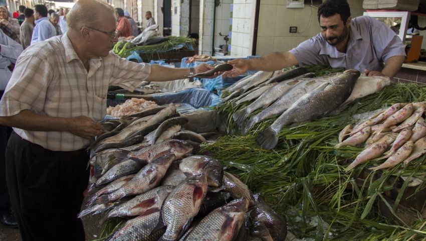 بعد غياب طويل| الأسماك تظهر بالمجمعات الاستهلاكية.. تعرف على الأسعار