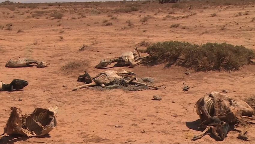 جفاف ومجاعة وكوليرا .. حصاد الصراعات بالصومال