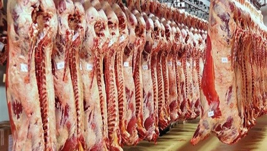 ضبط لحوم وأسماك ودواجن فاسدة في أسيوط