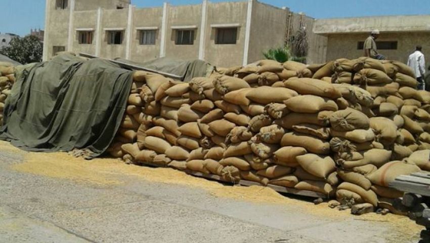 محافظ دمياط : توريد 28 ألف طن قمح بشون المحافظة