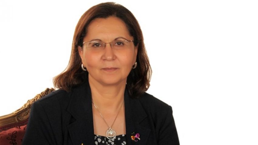 عالية المهدي: لماذا شبه السيسي مصر بـ الطابونة؟