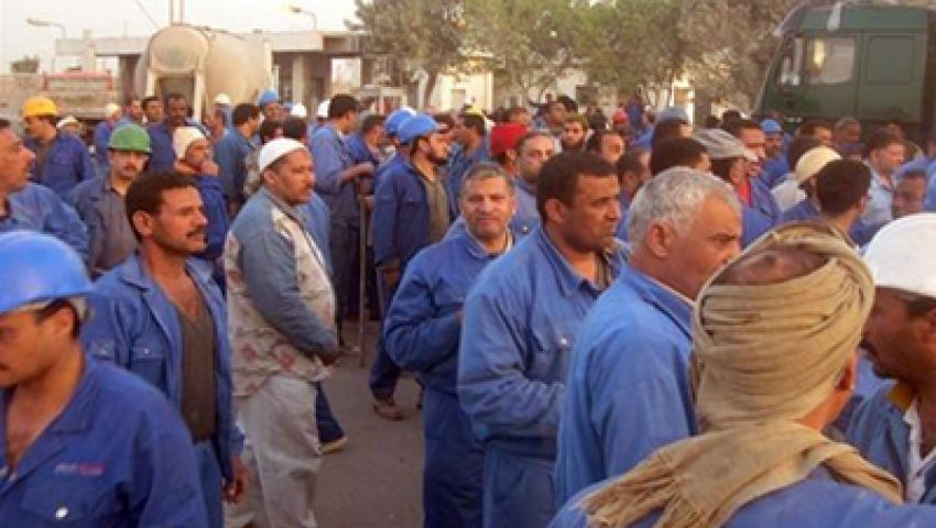 فيديو| «الحديد والصلب» من الريادة إلى التصفية.. ونقابيون: خسائرها متعمدة