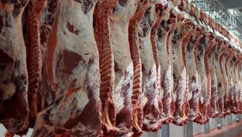 الجزائر: وقف واردات اللحوم البرازيلية في انتظار نتائج تحليل عينات